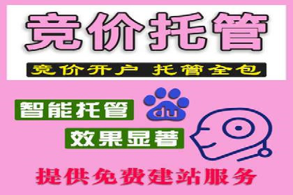 百度推广运营的成功之路：从策略到执行